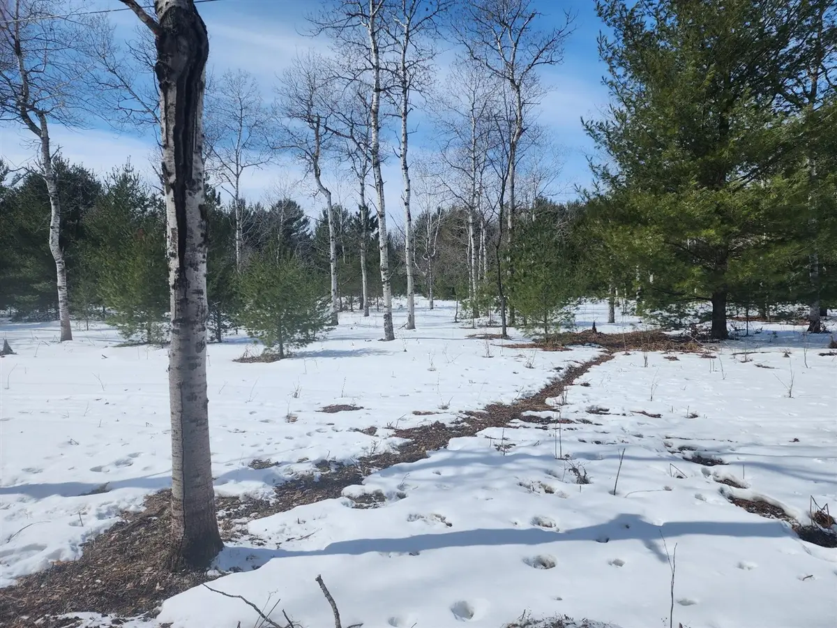 000 Hall Creek, Interlochen, MI 49643 - #1