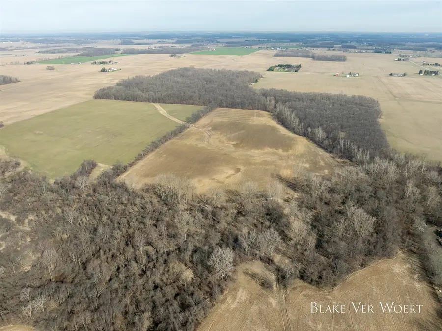 W Weston, Sand Creek, MI 49279 - #3