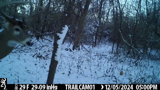 27 C, Albion, MI 49224 - #3
