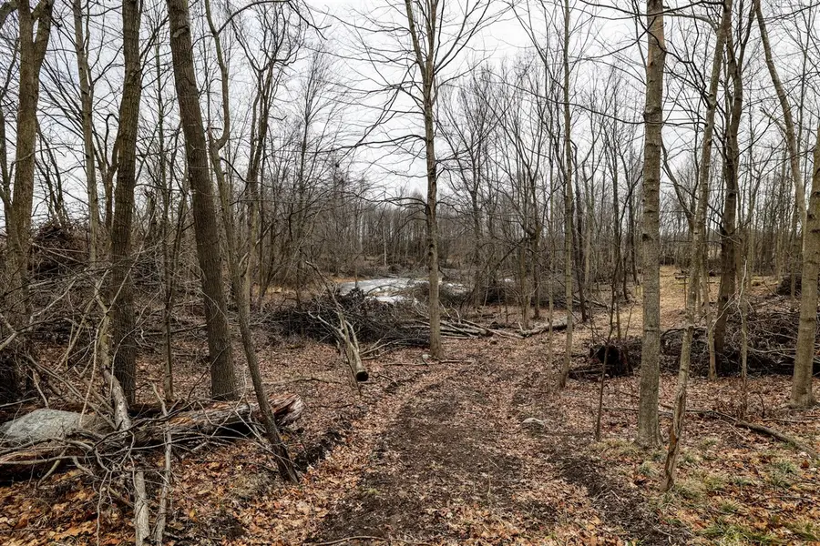 VL Messenger, Olivet, MI 49076 - #2