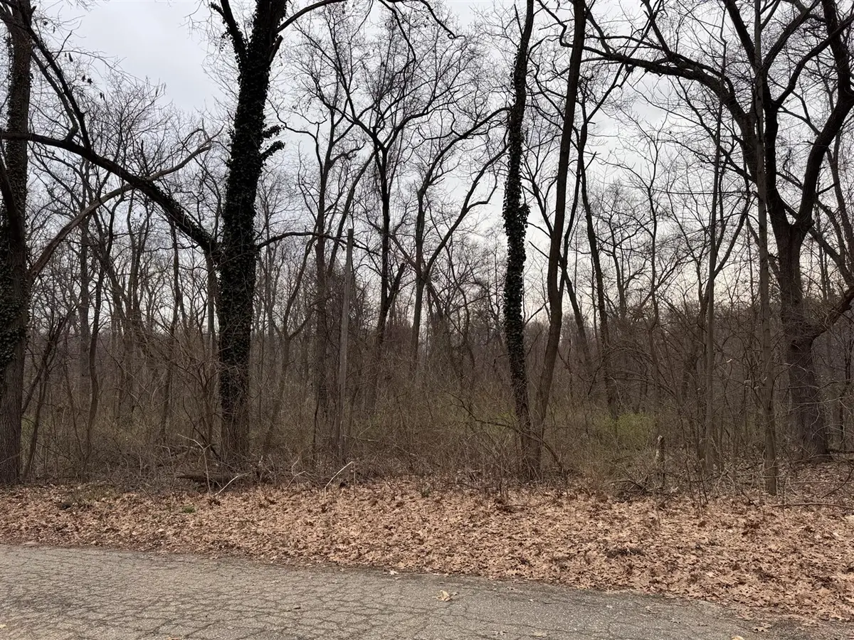 Lakeview, Dowagiac, MI 49047 - #1