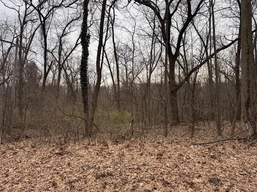 Lakeview, Dowagiac, MI 49047 - #2