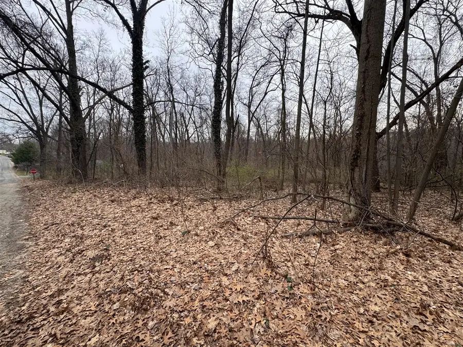 Lakeview, Dowagiac, MI 49047 - #3