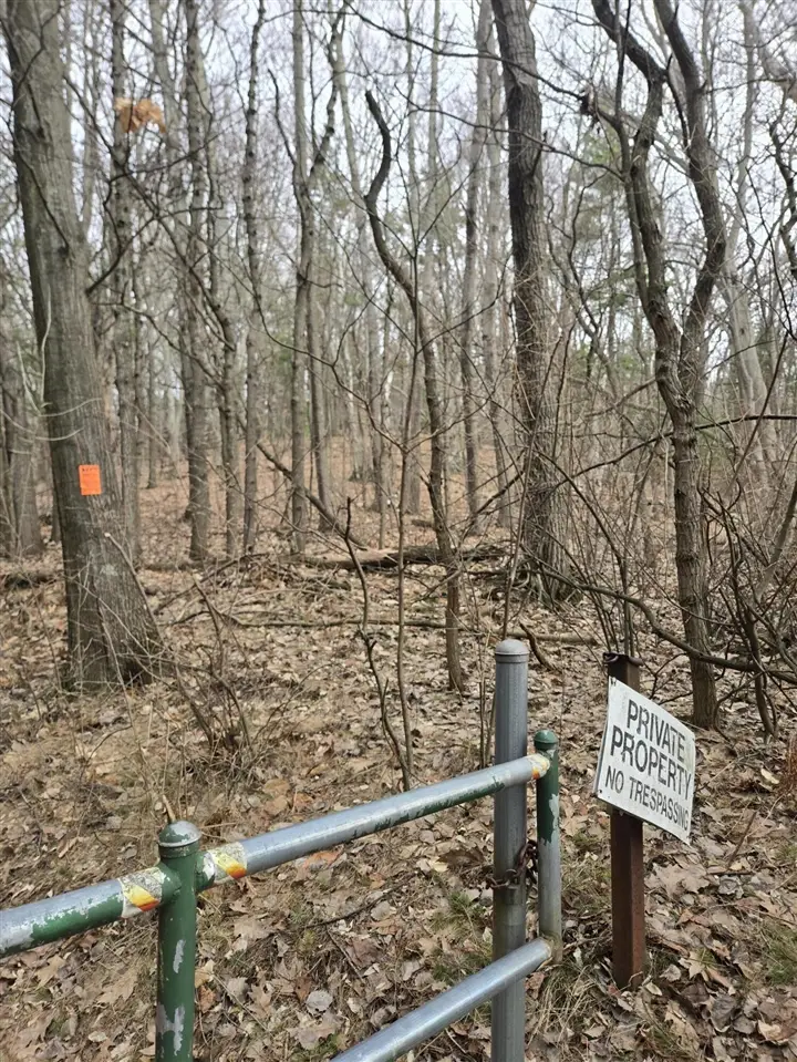 VL W Deer, Mears, MI 49436 - #2