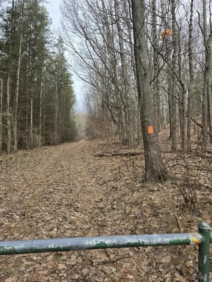 VL W Deer, Mears, MI 49436 - #3