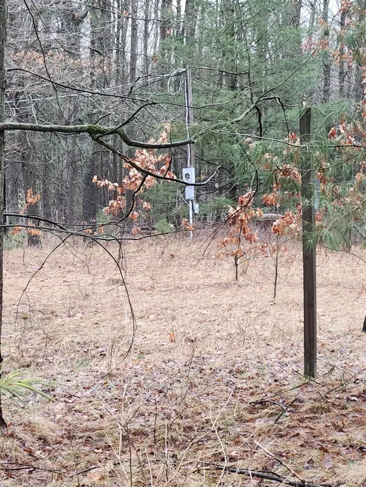 8071 Rolling, Lake, MI 48632 - #2