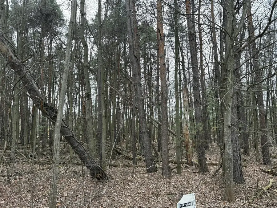 1512, 1476 22 Mile, Kent City, MI 49330 - #3