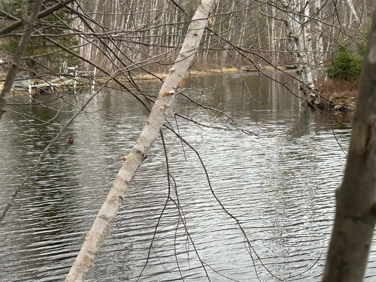 10910 Boxwood, Canadian Lakes, MI 49346 - #1