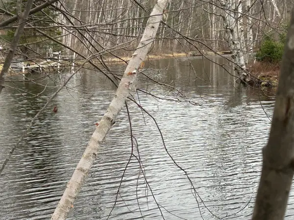 10910 Boxwood, Canadian Lakes, MI 49346