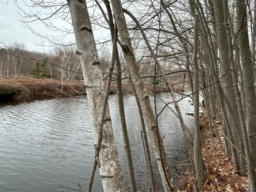 10910 Boxwood, Canadian Lakes, MI 49346 - #2