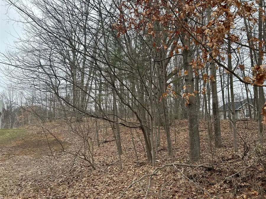 10910 Boxwood, Canadian Lakes, MI 49346 - #3