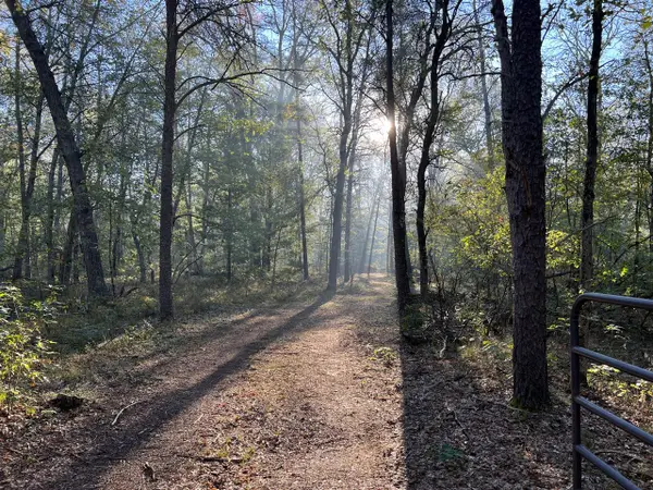 7230 S Kenwood, Baldwin, MI 49304