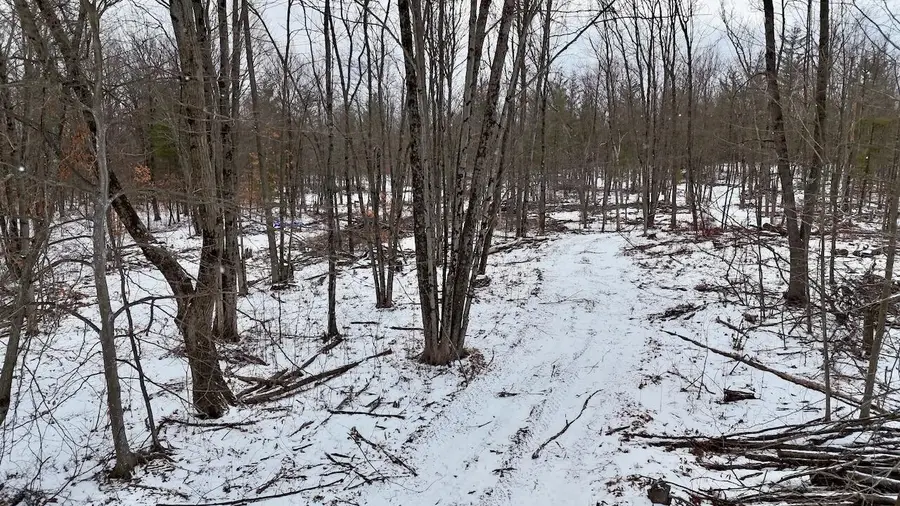 E Long Lake, Harrison, MI 48625 - #2