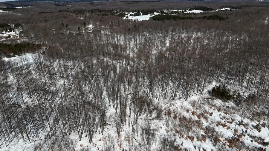 Walker, Rapid City, MI 49676 - #2