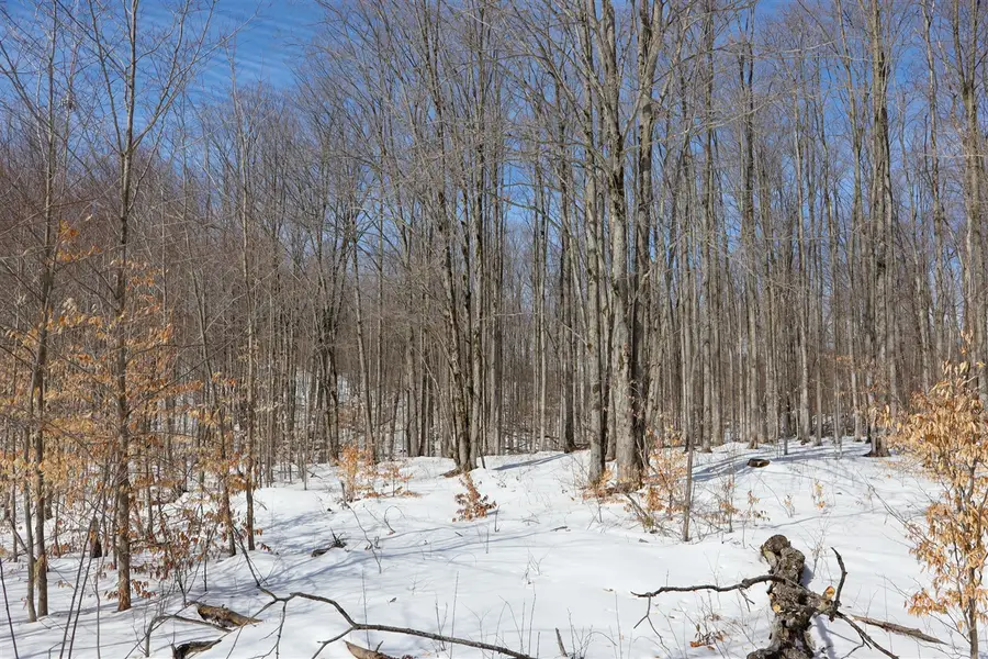 Walker, Rapid City, MI 49676 - #3