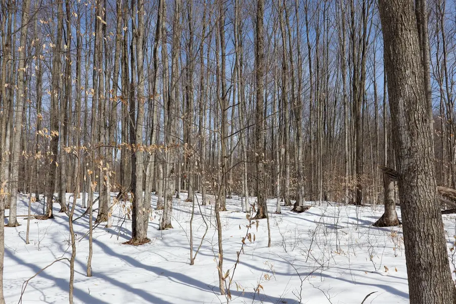 Walker, Rapid City, MI 49676 - #3