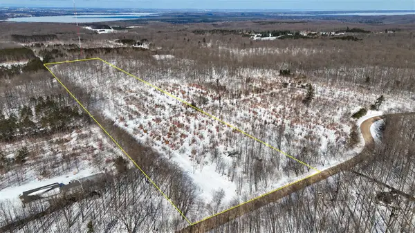 Walker, Rapid City, MI 49676