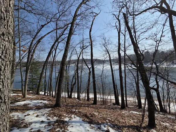 9110 S Oxeye, Baldwin, MI 49304