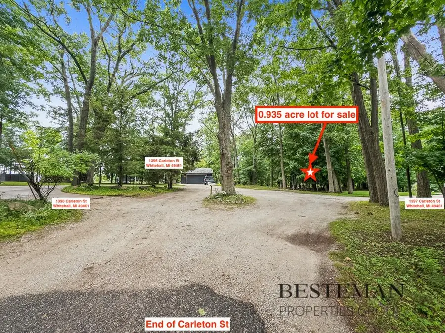 V/L Carleton, Whitehall, MI 49461 - #3