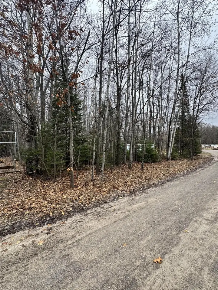 Ashcroft, Lake, MI 48632 - #2