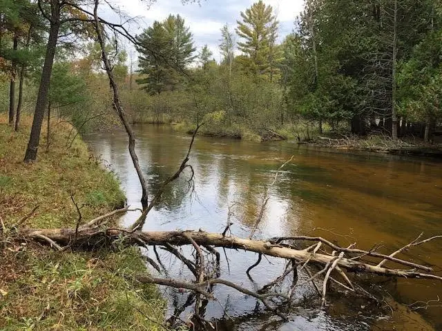 9240 W River, Irons, MI 49644 - #1