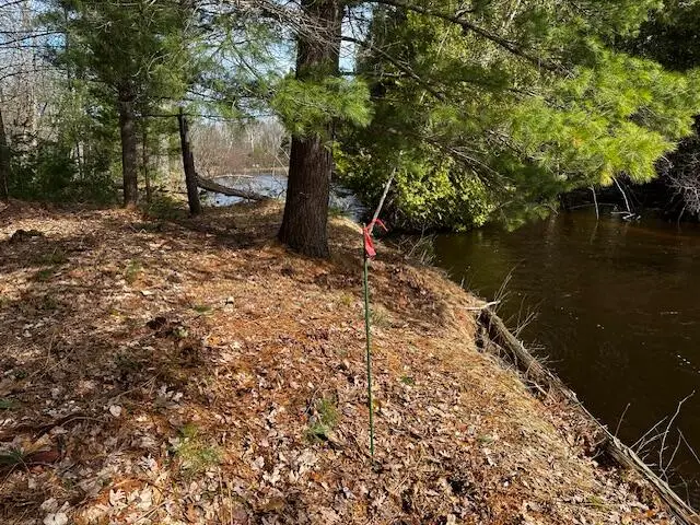 9240 W River, Irons, MI 49644 - #2