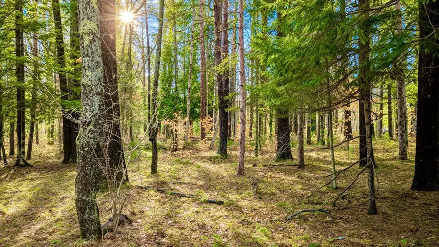 3194 N Warfield, Harrietta, MI 49638 - #3