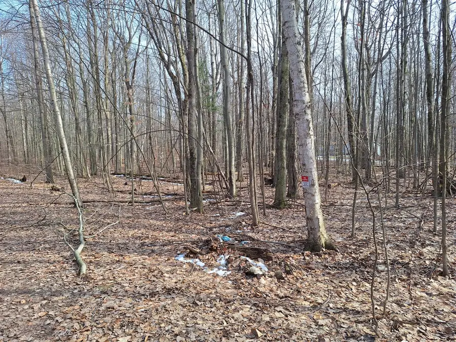 V/L Birch, Ludington, MI 49431 - #2