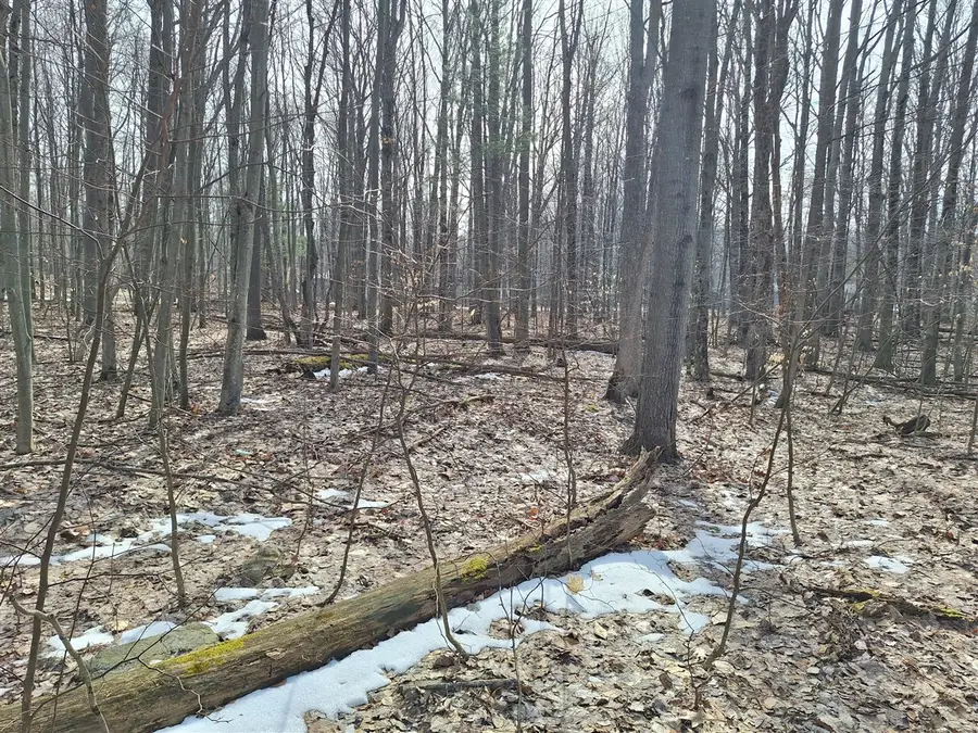 V/L Birch, Ludington, MI 49431 - #3