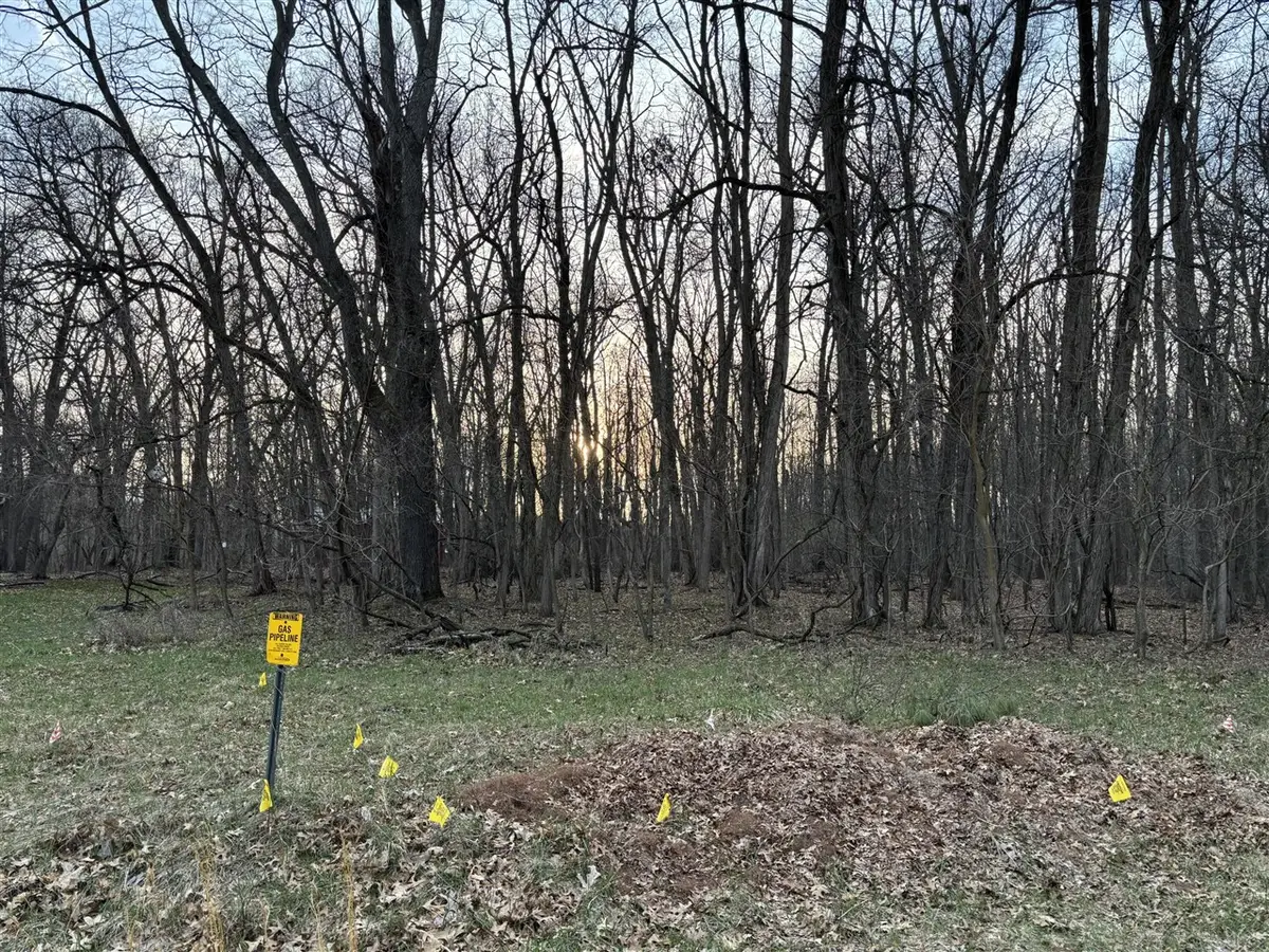 11560 Rutan, Jerome, MI 49249 - #1