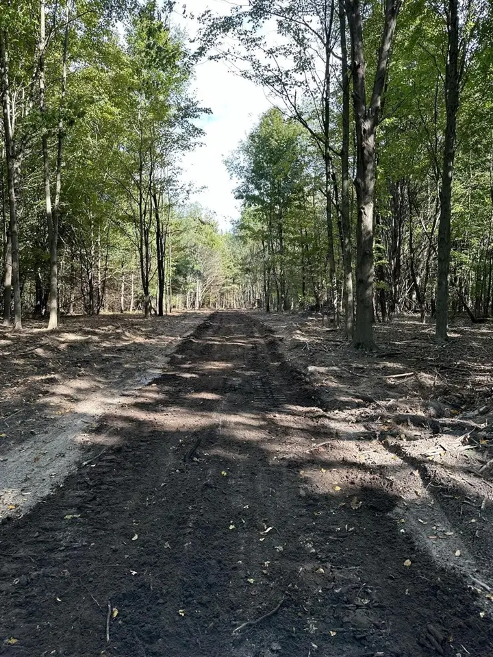 Lot 2 Christopher, South Haven, MI 49090 - #2