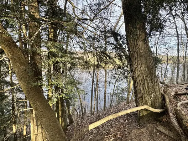 V/L S Teal, Newaygo, MI 49337