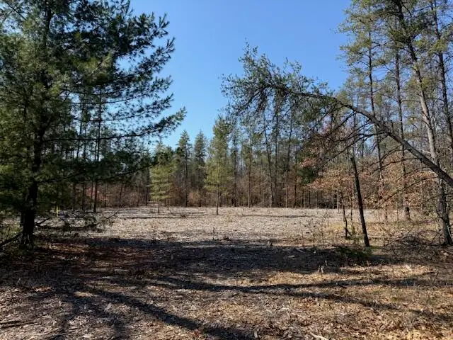 5209 S Nelson, Idlewild, MI 49642 - #2