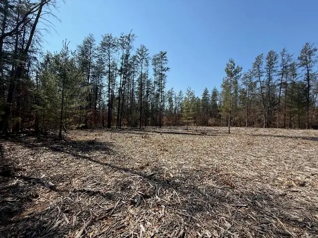 5209 S Nelson, Idlewild, MI 49642 - #3