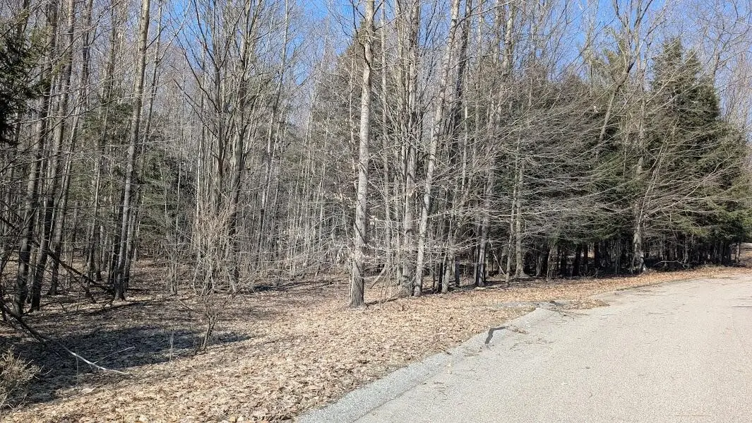 Opal Ridge, Onekama, MI 49675 - #1