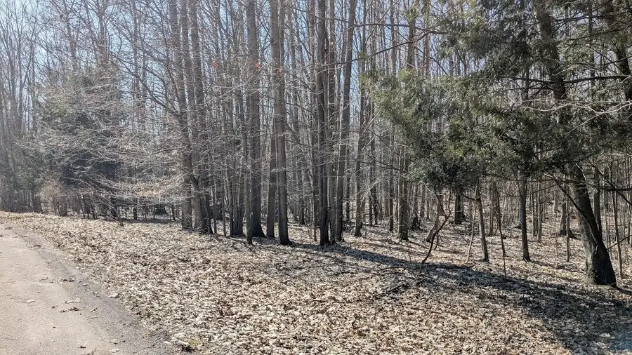 Opal Ridge, Onekama, MI 49675 - #2