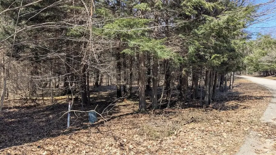 Opal Ridge, Onekama, MI 49675 - #3