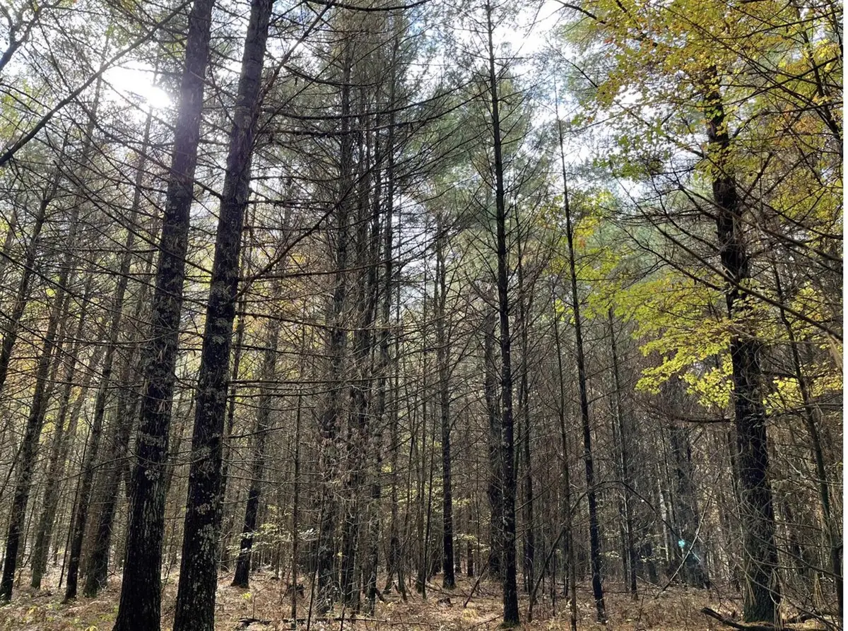 6159 S Forman, Baldwin, MI 49304 - #1