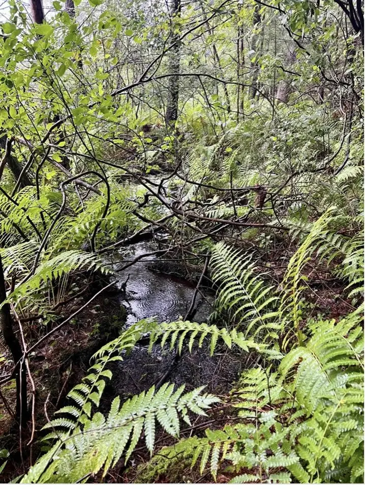 6159 S Forman, Baldwin, MI 49304 - #2