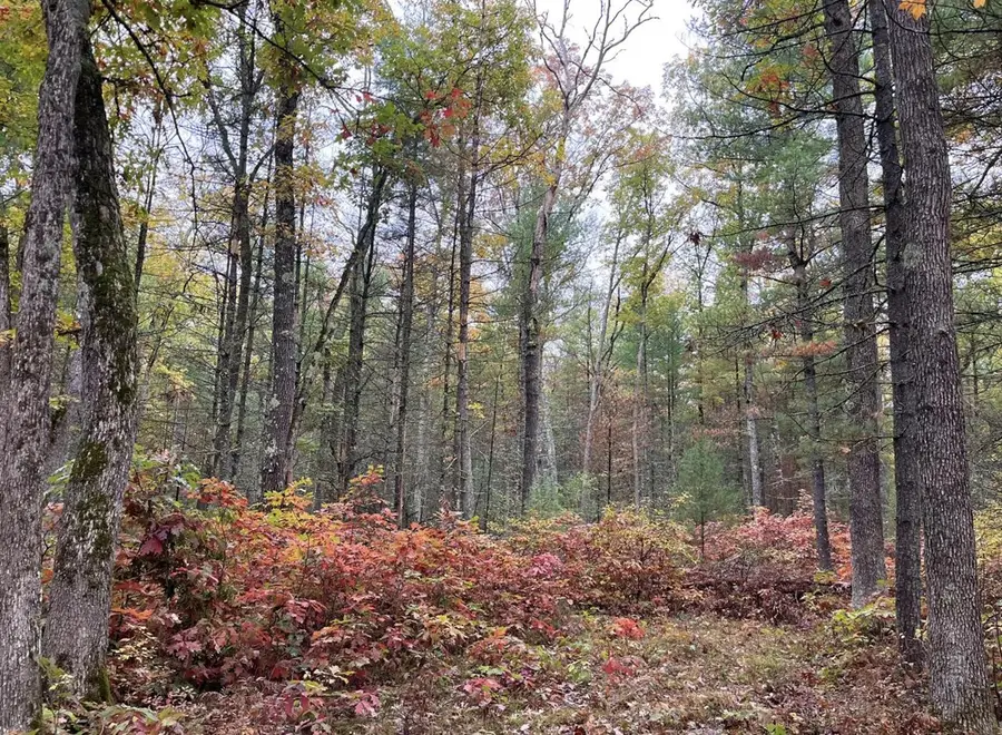 6159 S Forman, Baldwin, MI 49304 - #3