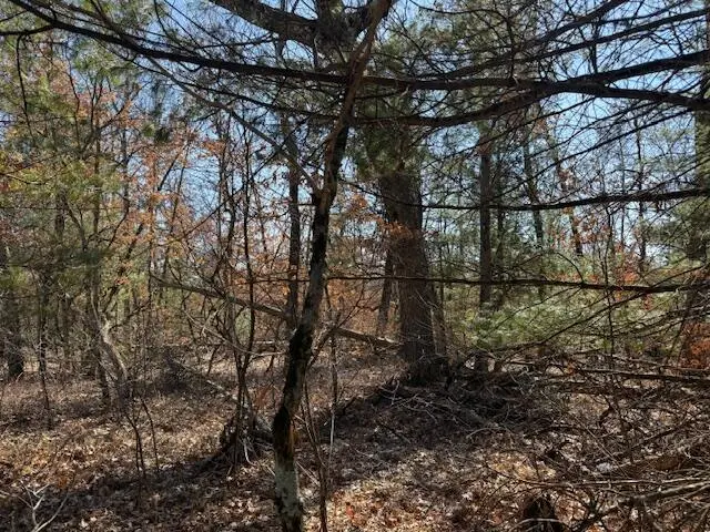 VL Erie, Baldwin, MI 49304 - #2