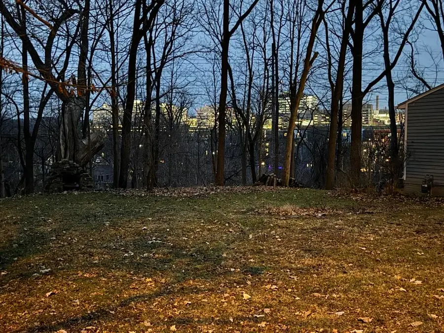 1308 Traver, Ann Arbor, MI 48105 - #3