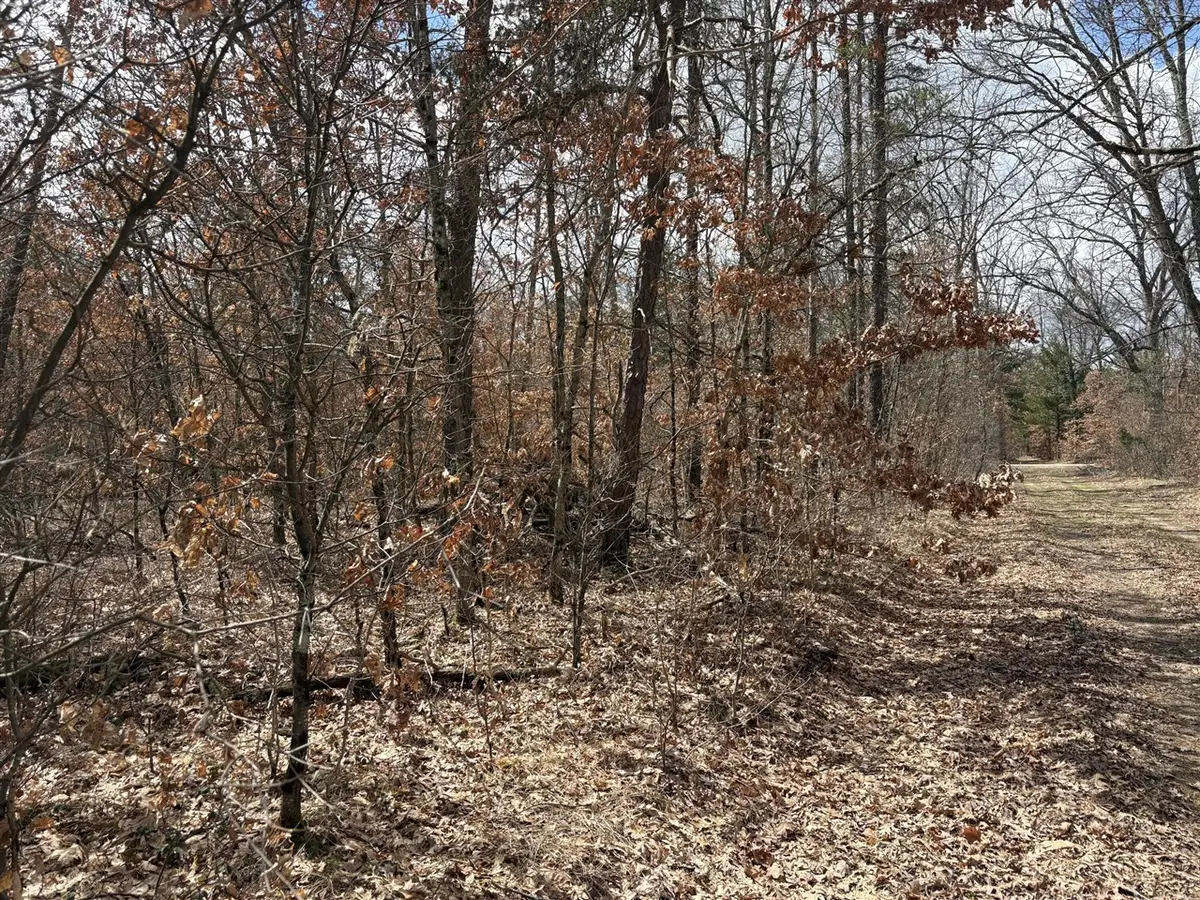 vl W Lexington, Baldwin, MI 49304 - #1