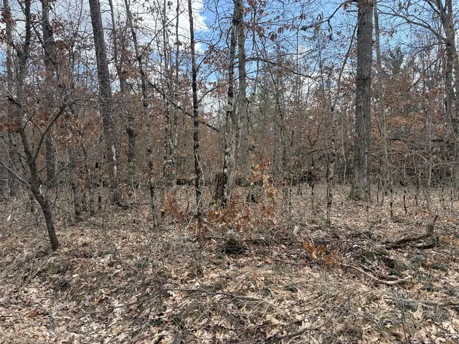 vl W Lexington, Baldwin, MI 49304 - #2