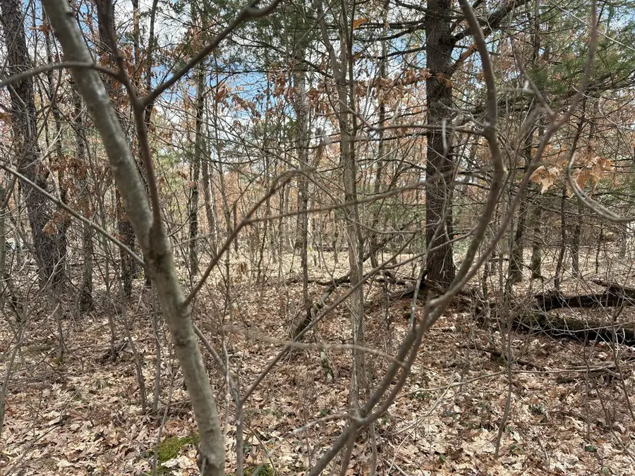 vl W Lexington, Baldwin, MI 49304 - #3