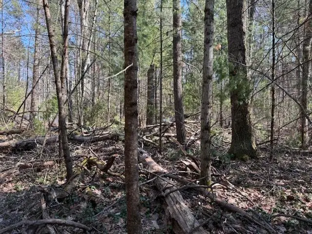 VL Lots 7-11 Pershing, Baldwin, MI 49304 - #3