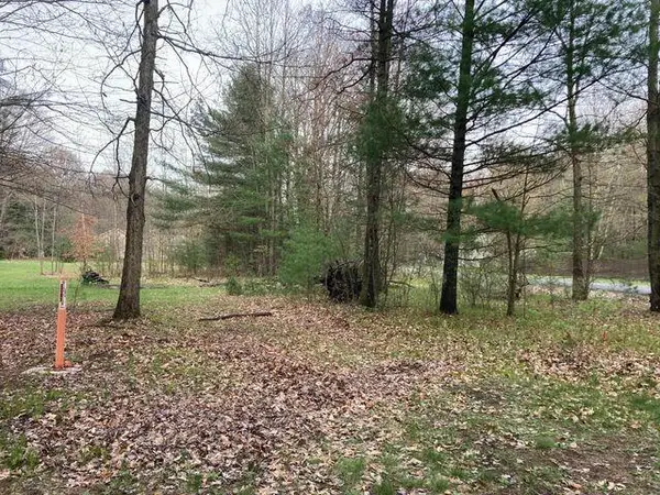 192nd, Big Rapids, MI 49307