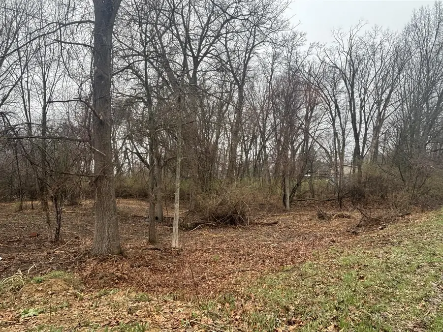 v/l Mirror, Jerome, MI 49249 - #3