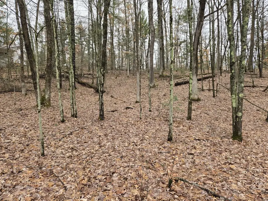 00 W Wilmas, Baldwin, MI 49304 - #2