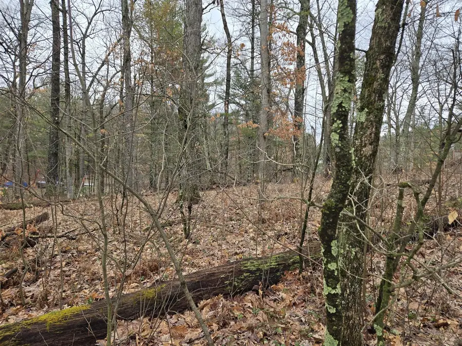 00 W Wilmas, Baldwin, MI 49304 - #3